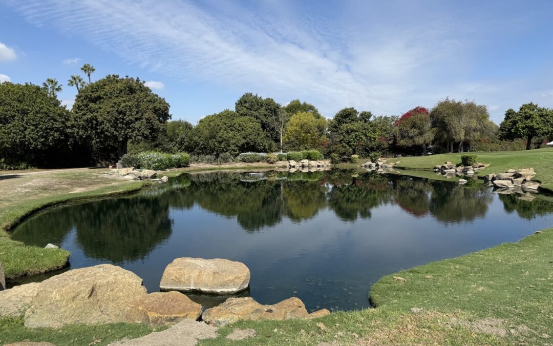 Skylinks Golf Course – Stormwater Capture Project